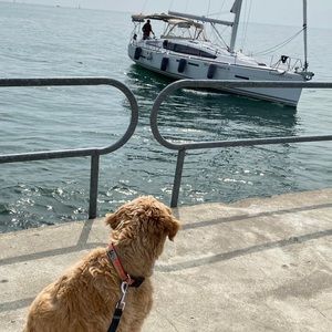 Meet your Posher, Grace